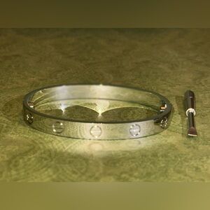 Bracelet with Screwdriver